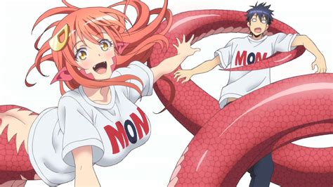 monster musume futa|Monster Musume No Iru Nichijou Category